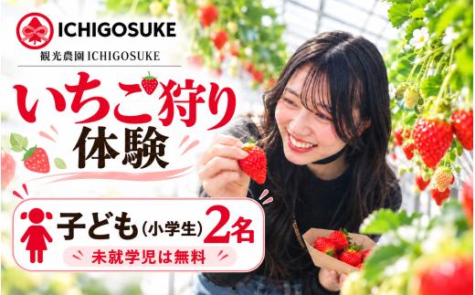 いちご狩り体験 子ども2名（小学生） チケット | いちごがり 収穫 体験 東武動物公園すぐ 小学生 観光農園ICHIGOSUKE 埼玉県 宮代町 