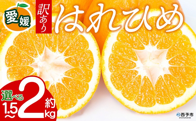 
                  【先行予約】＜訳あり 愛媛県産 はれひめ 約1.5kg／2kg＞ 『2026年12月下旬以降順次出荷予定』 選べる みかん フレッシュ ご家庭用 ご自宅 柔らか 果肉 果物 柑橘 フルーツ オレンジ 国産 産地直送 特産品 ミヤモトオレンジガーデン 愛媛県 西予市【常温】
                