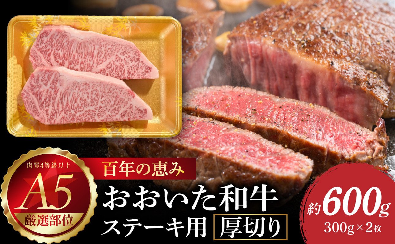 
                  百年の恵み　おおいた和牛A5　ステーキ用厚切り【厳選部位】約600g 牛肉 和牛 ステーキ 厚切り A5 霜降り 厳選部位 ロース サーロイン 肩ロース A01104
                