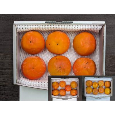 ふるさと納税 橋本市 【先行予約】匠果樹園 富有柿【訳あり】約1.4kg 8〜6玉【2026年11月〜12月発送】 |  | 02