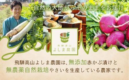 本場飛騨高山の赤かぶ漬けを味わう 食べ比べセット | 赤かぶら 漬け物 漬物 つけもの 昔ながら 飛騨高山 よしま農園 CK005VC13