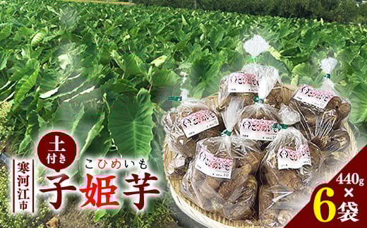 令和7年産 里芋 「子姫芋（こひめいも）土付」2.6kg以上 （440g×6袋） 山形県産 2025年産【2025年9月下旬頃から11月上旬頃配送予定】　014-B-CS001