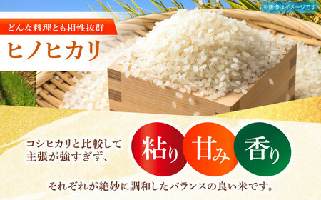 【全6回定期便】 ヒノヒカリ 白米 10kg 【有限会社江北商会】[HDK003]