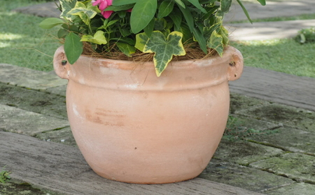 植物 寄植え 花 季節のお花 寄せ植え つぼ丸型 植物