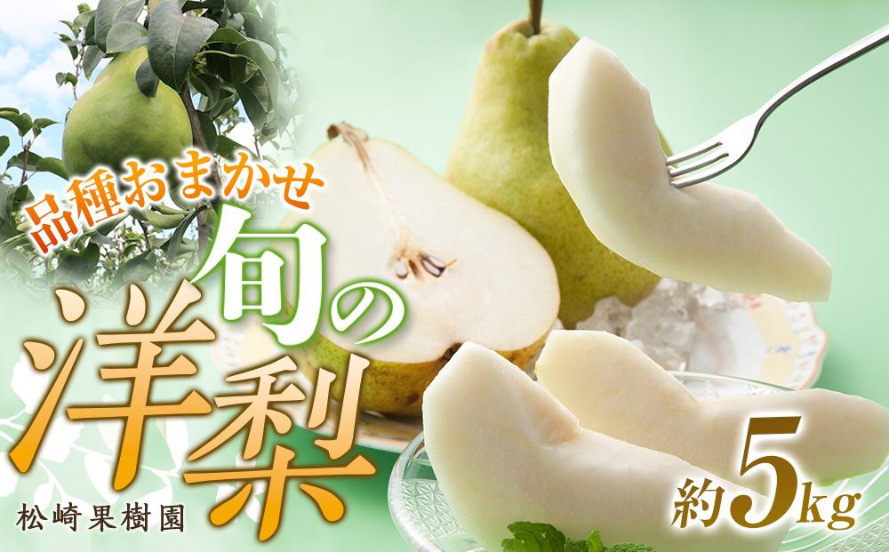 
品種おまかせ旬の洋梨 約5kg【松崎果樹園】
