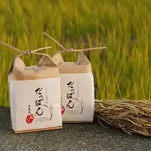 だっぱん米 にこまる 4kg 高知県日高村産 精米 2kg×2袋