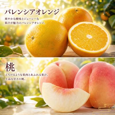 ふるさと納税 高野町 【発送月固定定期便】紀州和歌山産旬のフルーツセット(バレンシア・桃・ひらたねなし柿・みかん)全4回 |  | 01