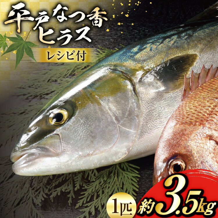 【ふるさと納税】刺身 ヒラマサ 平戸なつ香 ヒラス 丸々 1匹 約3.5kg [（株）坂野水産 長崎県 平戸市 hr42bgy420492] 魚介 さかな お刺身 刺身用 さしみ 冷蔵 下処理済 レシピ付き おかず フルーツ魚 夏香 鮮魚 海鮮 鍋 海鮮丼 生食 生食用