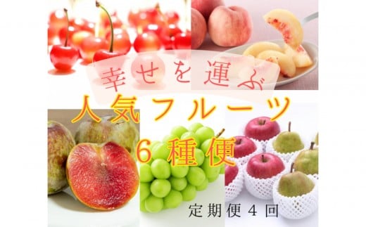 2026年度発送【定期便４回】 幸せを運ぶ人気フルーツ６種便