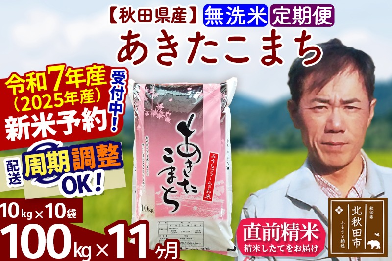 ※令和7年産 新米予約※《定期便11ヶ月》秋田県産 あきたこまち 100kg【無洗米】(10kg袋) 2025年産 お届け周期調整可能 隔月に調整OK お米 みそらファーム|msrf-31711