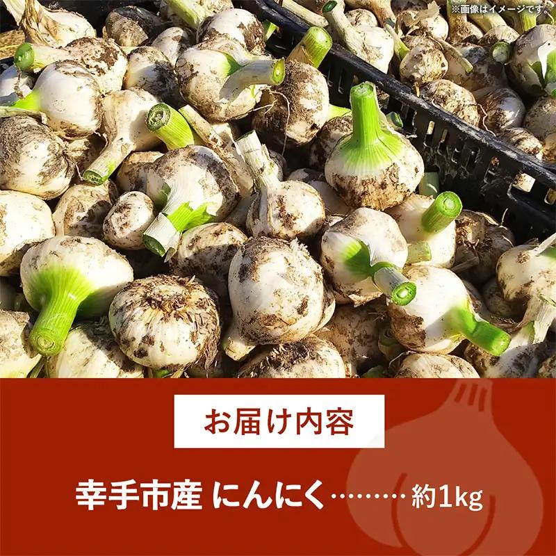 にんにく 1kg - 2026年度 幸手市産 採れたて ニンニク ガーリック きあり農園