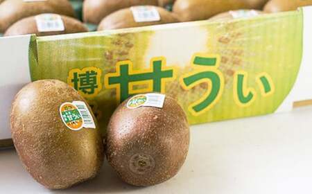 A199 福岡県産 ブランドキウイ・甘うぃ 約1.5kg（12～15玉） 【2026年10月下旬～12月上旬発送予定】 キウイ 果物 くだもの フルーツ