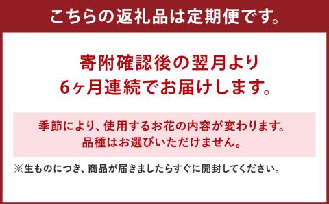 ファーマーズフラワー by the Bouquet KUMAMOTO【定期便年6回】 花 フラワーアレンジメント