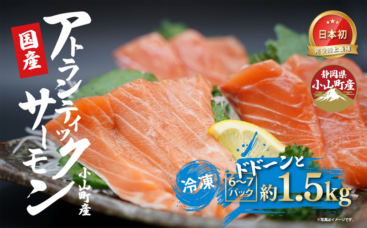 
                  日本初 完全陸上養殖 静岡県小山町産 アトランティックサーモン 冷凍  6～7P 約1.5kg | サーモン 刺身 海鮮丼 小分け 真空パック 鮭 養殖 国産 静岡県 小山町
                