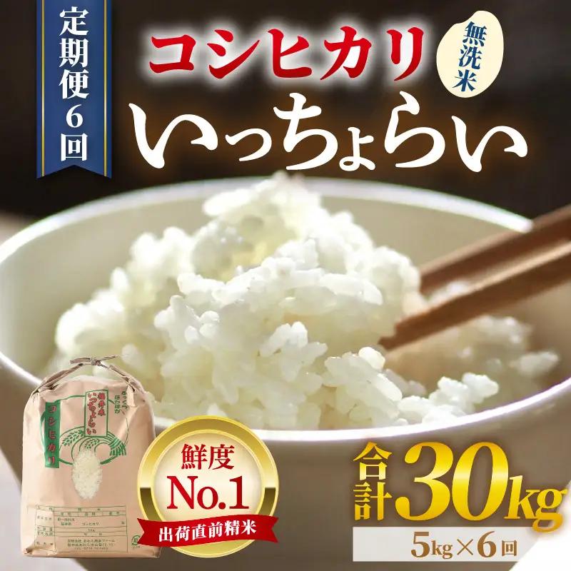 【先行予約】【令和8年産・新米】【一等米】《定期便6回》いっちょらい 無洗米 5kg × 6回（計30kg） ／ 福井県産 ブランド米 コシヒカリ ご飯 白米 新鮮 大賞 受賞 ※2026年10月上旬