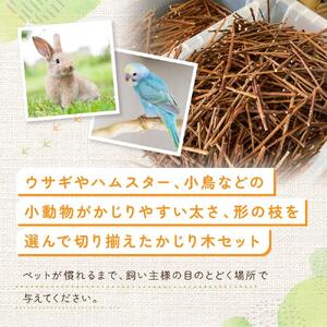 かじるの大好き　小動物かじり木セット | うさぎ ハムスター 小鳥 おもちゃ