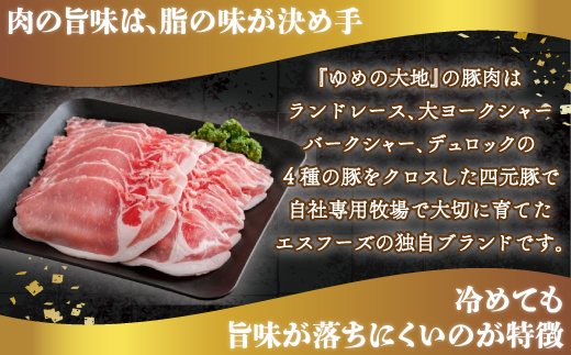 【平取町産四元豚】ゆめの大地豚ローススライス200g×10パック計2ｋｇ BRTD004