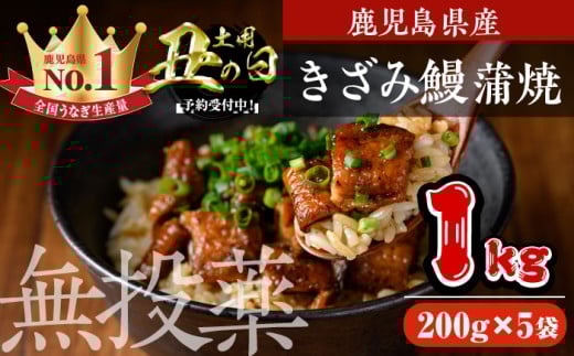 ＜丑の日先行予約受付中！＞鹿児島県産うなぎきざみ蒲焼セット (200g×5袋) 鰻 かばやき 冷凍【西日本養鰻】B176-U