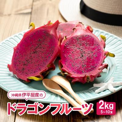 ふるさと納税 伊平屋村 【2025年7月〜10月頃発送】伊平屋産のドラゴンフルーツ2kg