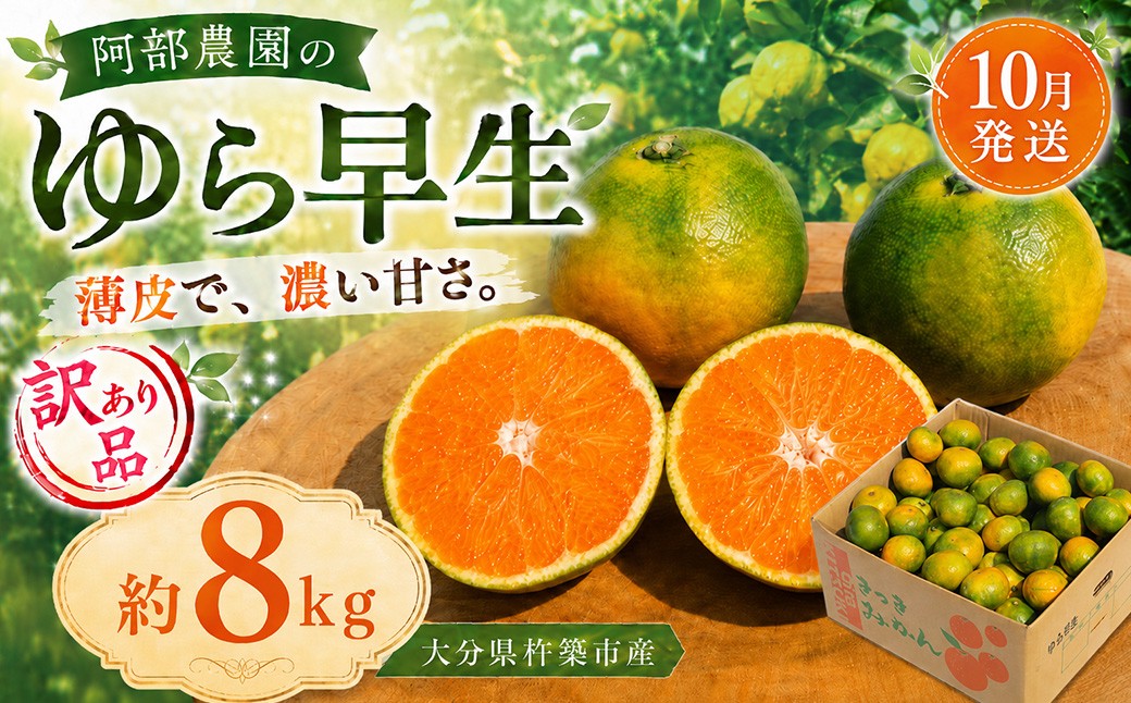 
                  【10月発送先行予約】【訳あり品】阿部農園の「ゆら早生 約8kg」／ ミカン みかん 蜜柑 柑橘 温州みかん うんしゅうみかん 温州 うんしゅう ゆら早生 由良早生 ユラ ゆらわせ 極早生 極早生みかん ごくわせ 糖度 訳あり ワケアリ わけあり 8kg 8キロ 柑橘類 フルーツ 先行予約 10月 10月発送 ＜112-020＞
                