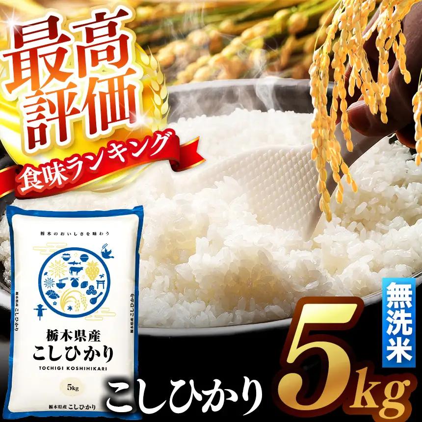 【先行予約】 ＼無洗米／ 栃木県産コシヒカリ 5kg