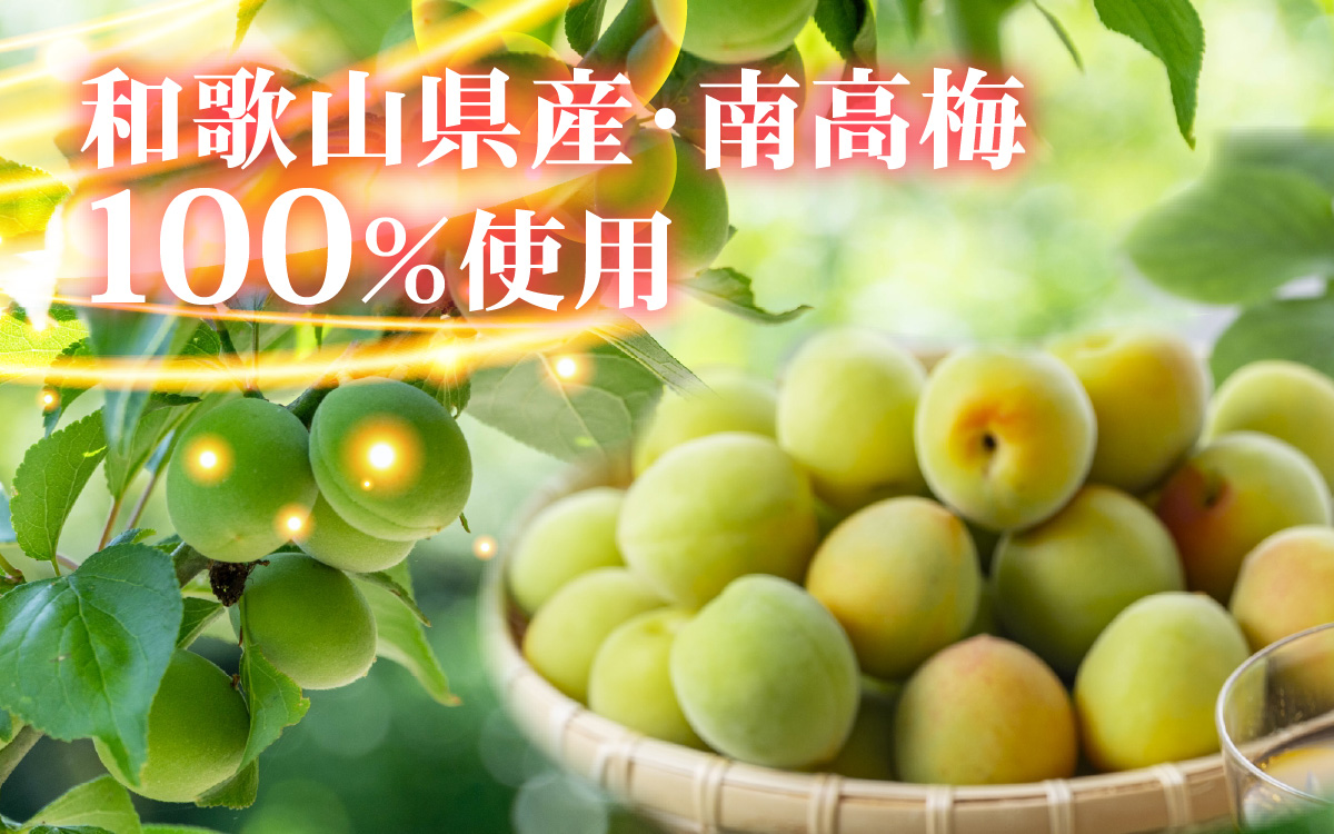 日の出みりん あじわい梅酒（南高梅100％）2L/6本