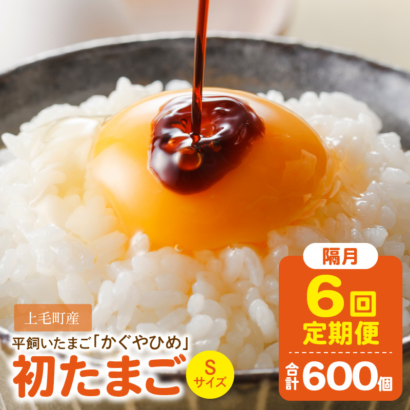 【定期便】かぐやひめ「初たまご」100個　6回（隔月）コース　06T-005