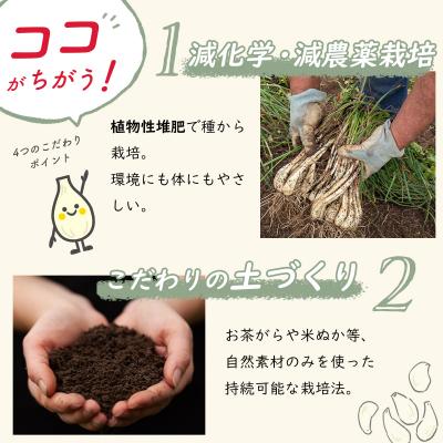 ふるさと納税 伊豆市 【数量限定】 伊豆 天城農園 青い鳥 らっきょうの甘酢漬け(130g×4つ) |  | 02