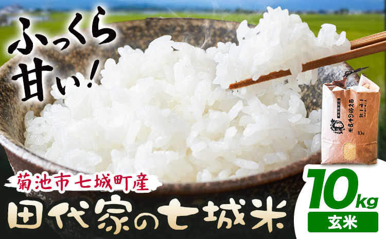 令和7年産 菊池市七城町産 田代家の七城米 七城ヒノヒカリ玄米 10kg 田代こめや《30日以内に出荷予定(土日祝除く)》熊本県 菊池市 米 お米 精米 ひのひかり 菊池市産 熊本県産 九州産 送料無料