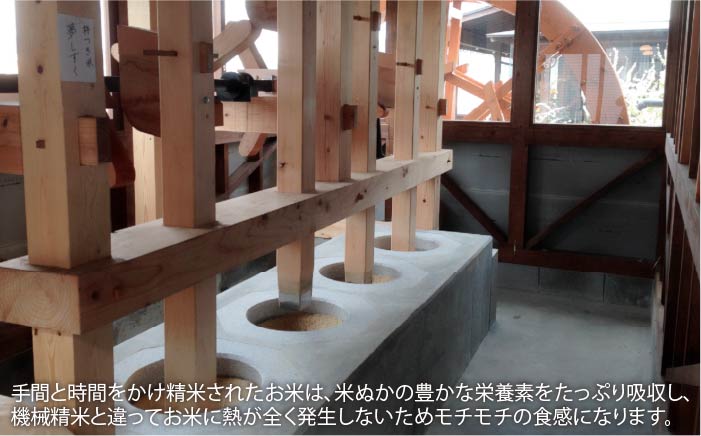 【ギフト】令和7年産 3銘柄米 セット 1kg×3 ( さがびより 夢しずく ヒノヒカリ )【一粒】NAO027