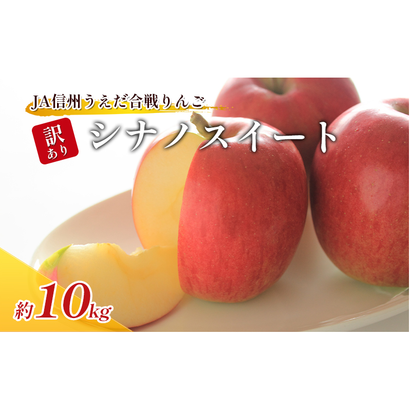 訳あり りんご JA信州うえだ 合戦りんご シナノスイート 約10kg リンゴ 林檎 果物 くだもの フルーツ 信州 長野 離乳食 訳アリ わけあり 傷
