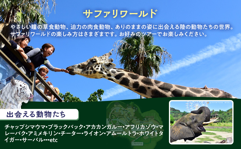 白浜町ふるさと納税 アドベンチャーワールド入園引換券 子どもチケット（18歳未満） 1枚