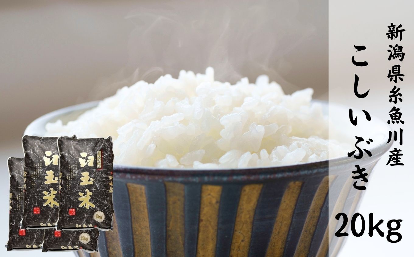 
                  【令和7年産】新潟県産こしいぶき『臼玉米』20kg 2025年産 木島米穀店【新潟県 糸魚川市 米 お米 白米 こめ コメ コシイブキ ご飯 ライス ふるさと納税米 お弁当 おにぎり 20キロ 精米 食品 新潟県 糸魚川産 2025年産 食品 人気 おすすめ】
                