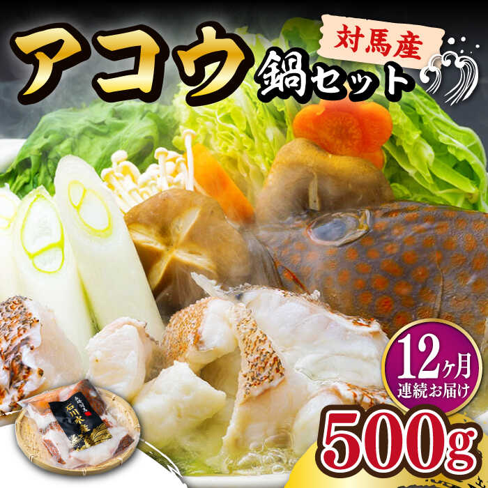 【ふるさと納税】【全12回定期便】【 対馬産 】 アコウ ( キジハタ ) 鍋 セット 500g 《対馬市》【石川水産】 水炊き 高級 鮮度抜群 海鮮[WAB017]