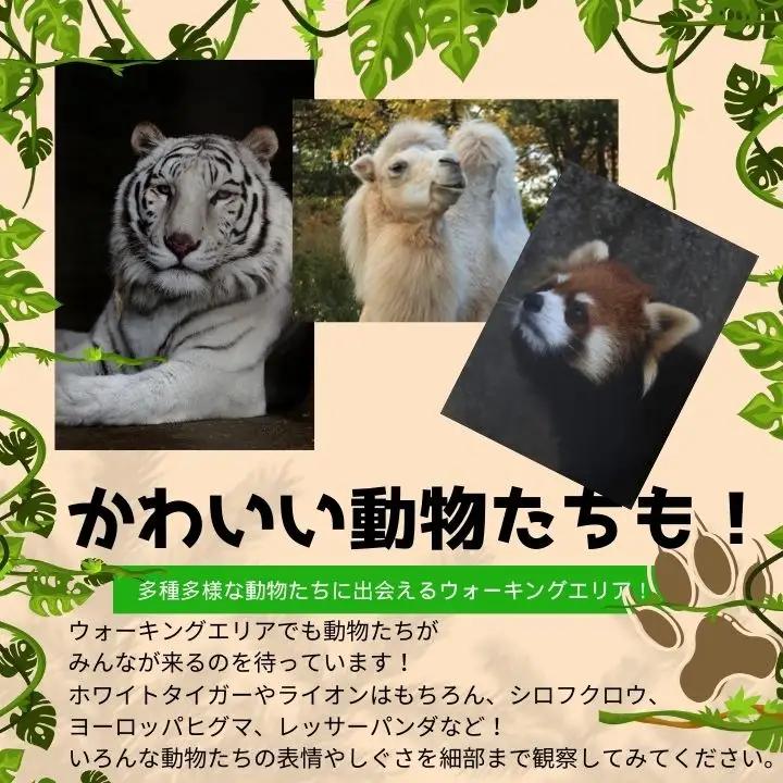 東北サファリパーク入園チケット 大人2名＋小人2名（ 入園チケット＋草食動物のエサ）【株式会社東北サファリパーク】