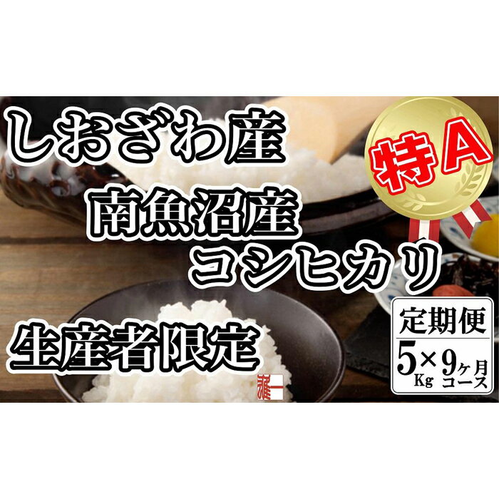 【ふるさと納税】【令和7年産】米 定期便 コシヒカリ 南魚沼しおざわ産 45kg ( 5kg × 9ヶ月 ) 契約栽培【2025年10月上旬より順次発送予定】 | お米 こめ 白米 コシヒカリ 食品 人気 おすすめ 送料無料 魚沼 南魚沼 南魚沼市 新潟県産 新潟県 精米