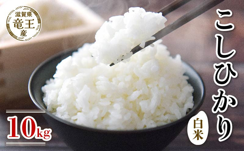 
            【 先行予約 】 令和7年産 新米 予約 コシヒカリ 白米 10kg 米 滋賀県 竜王町 国産 農家直送 特別栽培米 こしひかり 2025年産 国産 農家直送 環境こだわり お米 こめ おこめ 産地直送 送料無料 滋賀県 竜王町 ふるさと納税
          