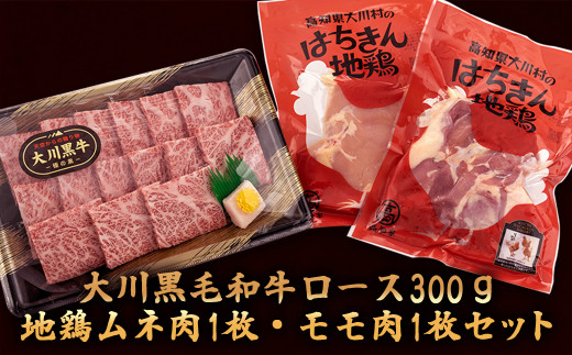 大川 黒毛和牛 ロース 土佐はちきん 地鶏 モモ肉 ムネ肉 3点セット 須崎 高知