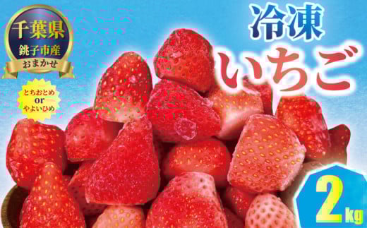 銚子産 冷凍いちご 2kg （ 1kg × 2 ） とちおとめ やよいひめ 冷凍イチゴ  神原いちご園 苺 いちご イチゴ 真空パック 冷凍 冷凍フルーツ カットフルーツ フルーツ ジャム スムージー 便利 簡単 小分け 個別冷凍 真空 冷凍品 長期保存 お取り寄せ グルメ 食品 冷凍食品 大容量 送料無料 ギフト 贈物 贈り物 プレゼント 千葉県 銚子市 神原いちご園