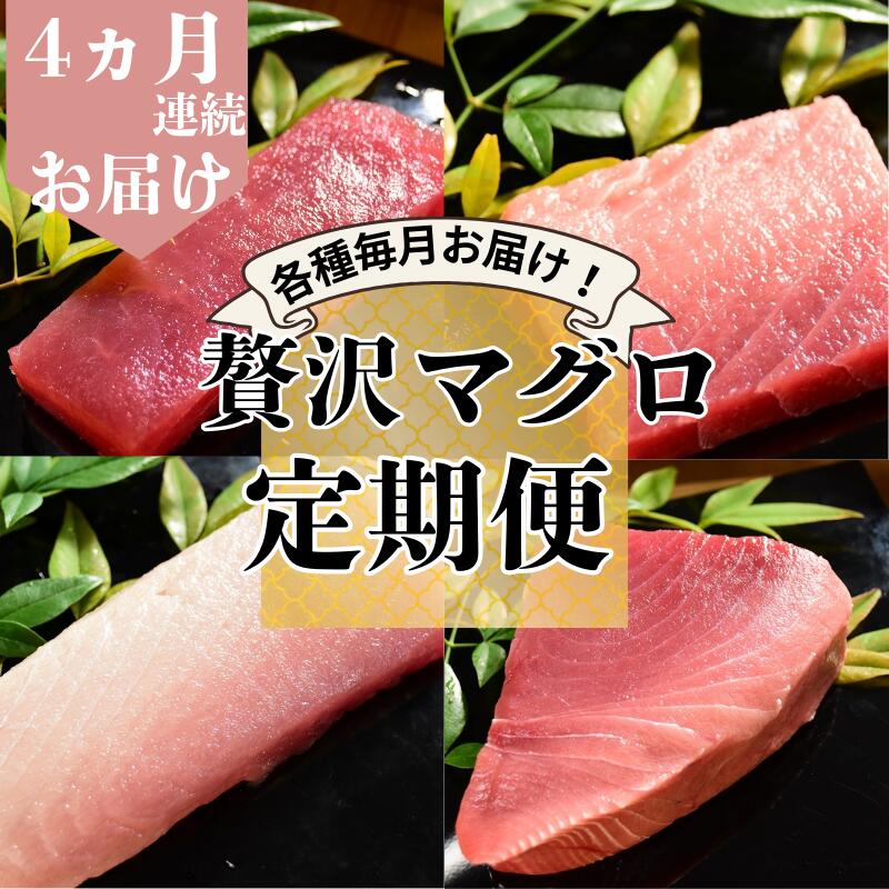 【ふるさと納税】【計4回お届け】贅沢マグロ定期便【冷凍】メバチマグロ上赤身・中とろ・ビンチョウマグロ脂柵・天然ミナミマグロ上赤身脂