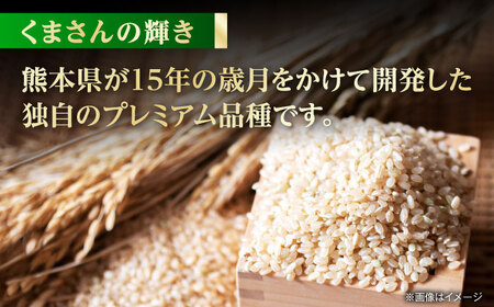 【先行予約】くまさんの輝き 30kg 玄米  山鹿市産【奥村果実園】[ZFK018]