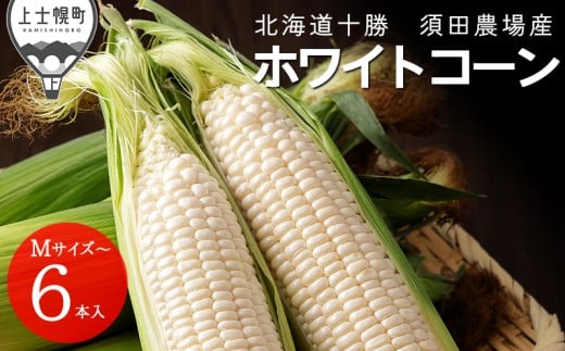 2026年分 先行予約 北海道産 ホワイトコーン 計6本 北海道 上士幌町 須田農場 野菜 白い スイートコーン とうもろこし トウモロコシ 産地直送 冷蔵便 ◆2026年08月配送予定 ［010-V61］ ※オンライン申請対応