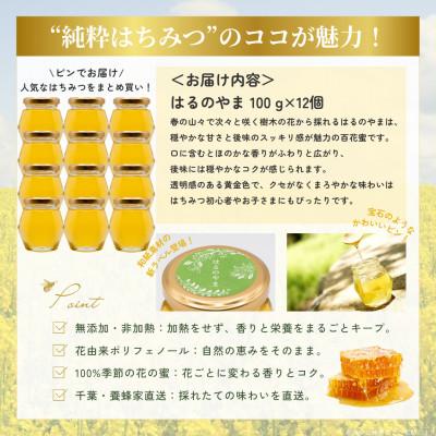 ふるさと納税 大網白里市 千葉県産純粋はちみつ「はるのやま」(百花蜜)【計1.2kg】100g×12個 |  | 03