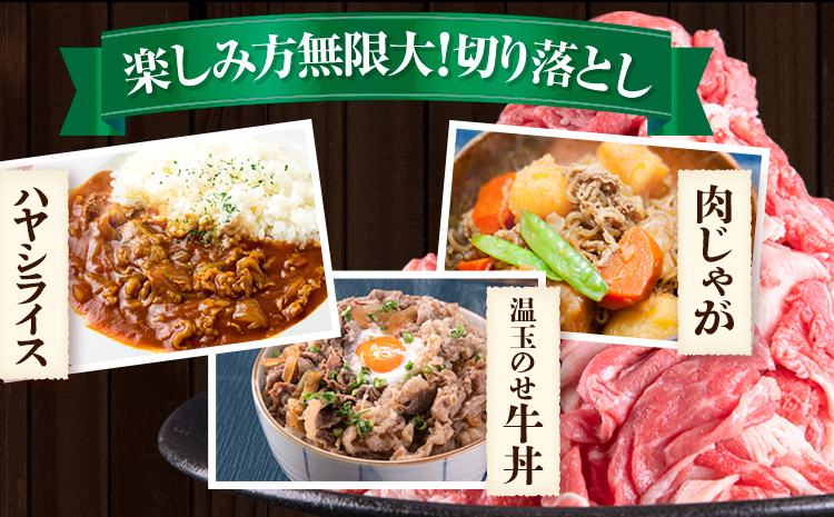 博多和牛・黒毛和牛 切り落とし900g(300g×3パック)《30日以内に出荷予定(土日祝除く)》九州産 牛肉 切り落とし  ---sc_fsruhkri_30d_23_14000_900g---