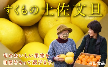 土佐文旦 10kg 家庭用小玉 文旦