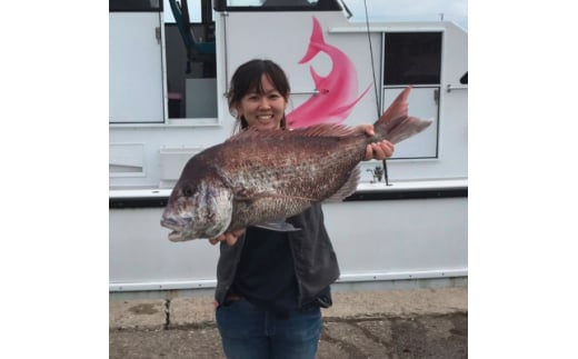 釣り船 真鯛 乗船券 午前 手ぶらOK 千葉県飯岡港 フィッシング 釣り 釣り体験 鯛 魚 魚釣り リール 竿 船 漁船 大型船 舟 大漁旗 飯岡港 外房 九十九里 九十九里浜 千葉 海 海釣り 沖釣り 新鮮魚 魚介 初心者 歓迎 午前マダイ船乗船券 体験 有限会社幸丸 千葉県 旭市 scm001