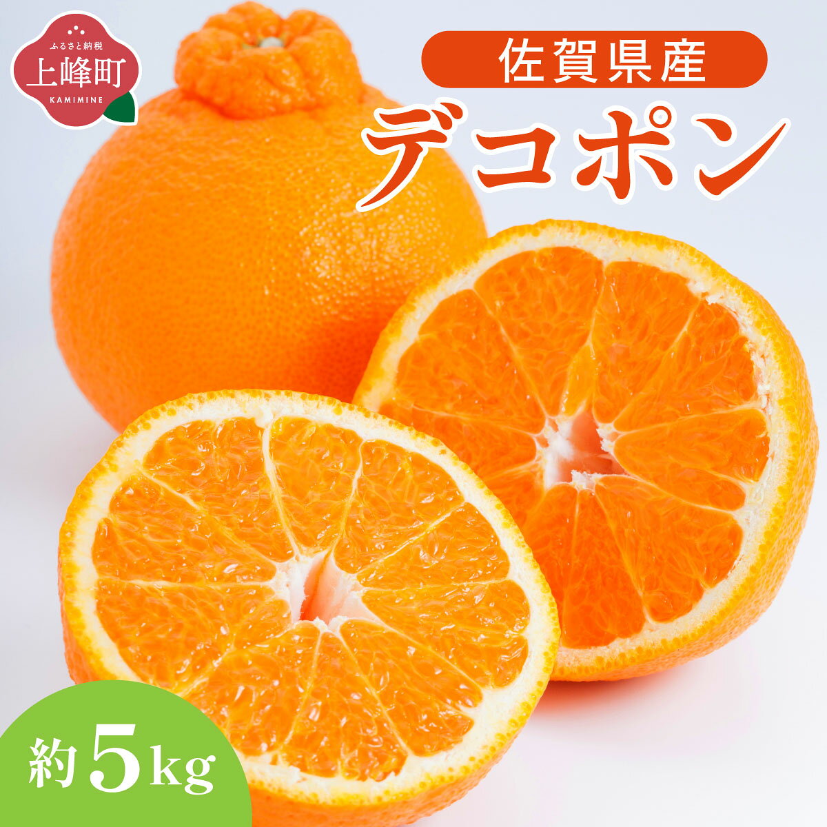 【ふるさと納税】デコポン 約5kg | デコポン 甘い 濃厚 ジューシー コク みかん 柑橘 密柑 ギフト 果物 フルーツ 佐賀県産 佐賀県 人気 佐賀みかん さがみかん