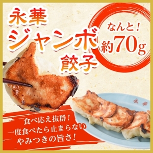 【佐野餃子(大)10個2人前】と【佐野餃子(中)野菜餃子24個4人前】【配送不可地域：離島・沖縄県】【1061582】