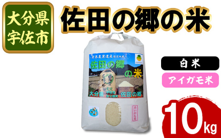 ＜先行予約受付中！2024年10月中旬より順次発送＞＜新米・令和6年産＞佐田の郷の米 アイガモ米(10kg)お米 白米 ごはん ブランド米 常温 常温保存【111700601】【雅設置プロジェクト　佐田の郷の会】