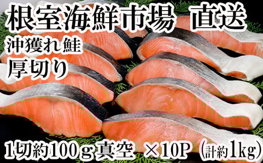 B-14062 天然沖獲れ鮭1切×10P(約1kg)